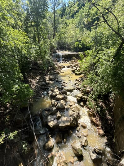 The image shows a small, rocky stream flowing through a heavily wooded area. The water is murky and flows over and around many gray rocks of varying sizes. Trees and dense foliage line both sides of the stream, creating a tunnel-like effect. The location is Kesarevo, Bulgaria. A small waterfall is visible in the distance.