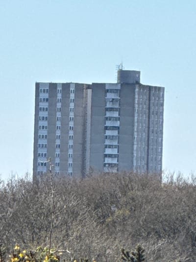The image displays a multi-story, grey concrete residential tower block, located in Southampton, United Kingdom, set against a clear, light blue sky. The building features numerous vertically aligned rectangular windows with light-coloured frames. On its right side, a series of recessed balconies show signs of weathering and discoloration. The flat roof includes a cylindrical structure on the right, topped by a ladder or antenna mast. The lower portion of the building is obscured by a dense, bare-branched tree canopy and shrubs. Sparse yellow and green foliage is visible at the very bottom of the frame. No individuals, specific actions, or interactions are depicted within the scene.