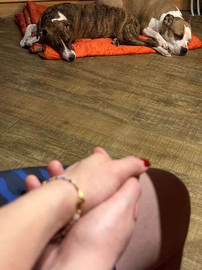 The image depicts an indoor scene in Базарово, Russia, featuring two dogs and two human hands. In the background, two pitbull-type dogs are resting on an orange padded mat, which lies on a light brown wooden floor. The dog on the left exhibits a brindle coat with white markings on its face and chest, and its head is resting on the mat. Adjacent to it, a tan and white pitbull-type dog also rests on the mat, partially obscured, with its head turned away from the viewer. In the blurred foreground, two human hands are clasped together. The left hand wears a multi-colored beaded bracelet adorned with a golden charm. The right hand displays red nail polish on its index finger. A blue fabric with a dark pattern is partially visible beneath the left hand, and light-toned skin is visible below the right hand. The overall lighting is subdued.