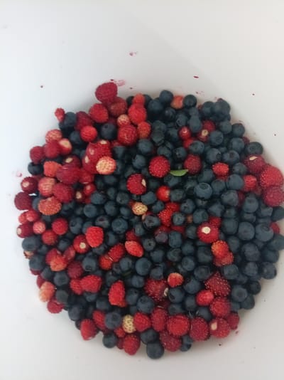 A close-up, top-down shot shows a white bowl filled with a mix of fresh blueberries and wild strawberries. The berries are piled high, spilling slightly over the rim of the bowl. The blueberries are a deep, uniform blue, while the wild strawberries are a vibrant red, some with a lighter, yellowish hue. The textures of the berries are distinct; the blueberries are smooth and round, whereas the strawberries have visible seeds and a slightly bumpy surface. A small, green leaf is visible amongst the berries. The background is predominantly white, suggesting the bowl is placed on a white surface or that the image is cropped to focus on the berries. The lighting appears even, indicating an indoor setting or an overcast day. There is no visible text in the image. The scene conveys a sense of natural bounty and freshness, likely representing a recent harvest of berries.