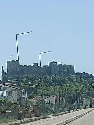 The image captures a sideways view of the Montemor-o-Velho Castle in Portugal, situated on a hill under a clear, bright blue sky during daytime. The prominent subject is a long, stone fortification with visible crenellated battlements, stretching horizontally across the mid-ground and background. The castle walls are partially obscured by dense green trees and foliage growing on the hillside and surrounding areas.
In the foreground and mid-ground, two tall, dark streetlights with L-shaped arms are visible, standing against the sky and in front of sections of the castle wall. Below and to the left of the castle, several houses and other structures with various rooflines are nestled amongst more trees and greenery. To the right side of the frame, a paved road with a distinct curb or white line runs along the edge, suggesting the vantage point is from a roadside. No people or visible text are present in the image. The weather appears clear and sunny.