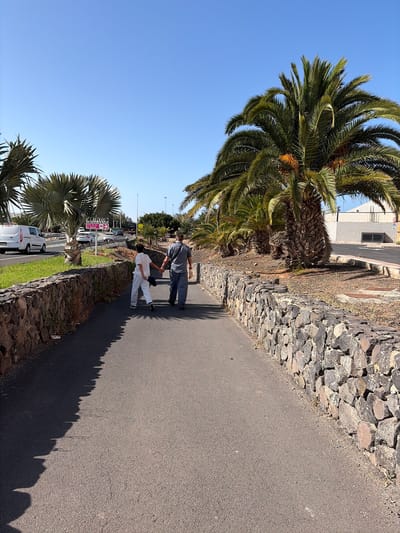 Two individuals, an adult male and a younger male, walk hand-in-hand along a paved pathway in Antigua, Spain. The adult male, wearing a blue-grey collared shirt and dark trousers, is on the right. The younger male, in a white t-shirt and light-colored pants, is on the left, holding a dark baseball cap in his left hand. The pathway is bordered by a low, rough-hewn stone wall on the left and a similar wall on the right. Beyond the walls, on the left, is a grassy area and a road with a white van and other vehicles. To the right of the pathway, there are several palm trees, one of which is large and mature with visible fruit clusters. A building with a light-colored facade and dark windows is visible in the background, along with more palm trees and a clear blue sky. The lighting suggests it is daytime, with distinct shadows cast by the stone wall and the people.