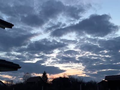 The image depicts a residential scene in Zidartsi, Bulgaria, at either dawn or dusk. The sky dominates the upper two-thirds of the frame, filled with dense, dark grey and bluish-white altocumulus clouds. Lighter patches of sky are visible between the clouds, particularly towards the upper right. Along the lower horizon, a horizontal band of orange and pink light indicates the sun's position.
In the lower third of the frame, a silhouette of a suburban or semi-rural landscape is visible. Multiple residential structures with dark, pitched roofs are present. A prominent dark roof eave is partially visible in the upper left corner. A dense line of leafless deciduous trees and bushes forms a dark horizontal band across the midground, obscuring the lower portions of the houses. A single, distinct coniferous tree stands tall on the right side of the frame, silhouetted against the illuminated horizon. No people or active interactions are visible within the scene.