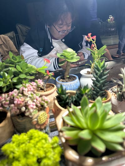 An outdoor, nighttime close-up shot shows a person wearing glasses and a jacket, looking down at a smartphone. The person is seated at a table covered with a variety of potted succulent plants. The succulents are in different shapes, sizes, and colors, including green, pink, and yellow varieties, and are arranged in ceramic and terracotta pots. In the background, blurred figures and a metal railing are visible, suggesting an outdoor seating area or balcony. The Eshan Yi Autonomous County in China is known for its natural beauty and diverse flora, which may explain the presence of such a collection of succulents.