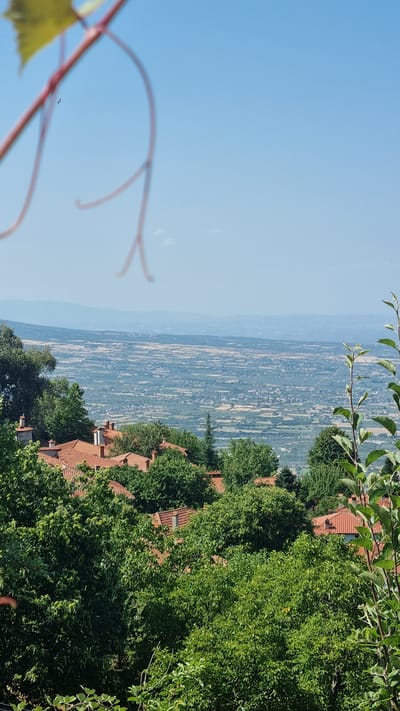 The image is a high-angle, vertical shot capturing a panoramic view of a village nestled among lush greenery, with a vast agricultural landscape stretching into the distance under a clear blue sky. In the foreground, blurred branches with a yellowing leaf are visible, along with other unfocused green foliage. The middle ground is dominated by terracotta-tiled roofs of houses interspersed with dense green trees, suggesting a village setting. Some chimneys are visible atop the houses. In the background, the landscape unfolds as a patchwork of fields and scattered buildings, transitioning into rolling hills and mountains that fade into the hazy horizon. The sky is a bright, cloudless blue. A small, dark bird is silhouetted against the sky in the upper left portion of the image. The scene depicts Palaios Panteleimonas, Greece, showcasing its integration with the natural environment and its expansive agricultural surroundings.