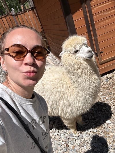 A woman with sunglasses and a grey sweatshirt is taking a selfie outdoors with a light-colored alpaca. The woman is making a kissing face. The alpaca is fluffy and has white fur. They are standing on a ground covered with small stones. In the background, there is a wooden fence and a wooden building. The image is taken in daylight. The location is the city of Terskol, Russia.