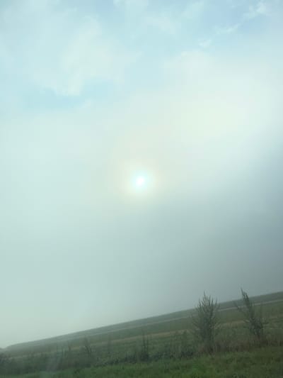 The image depicts a hazy, overcast sky with a bright, diffused sun visible near the center. The lower portion of the image shows a landscape with green grass and sparse, thin trees on a slight incline. A faint line, possibly a road or path, is visible horizontally across the middle ground. The overall scene is muted in color due to the atmospheric conditions, suggesting a foggy or misty morning. There are no people or animals visible in the image. The location is identified as Cernat, Romania, and the image appears to capture a rural or semi-rural setting.