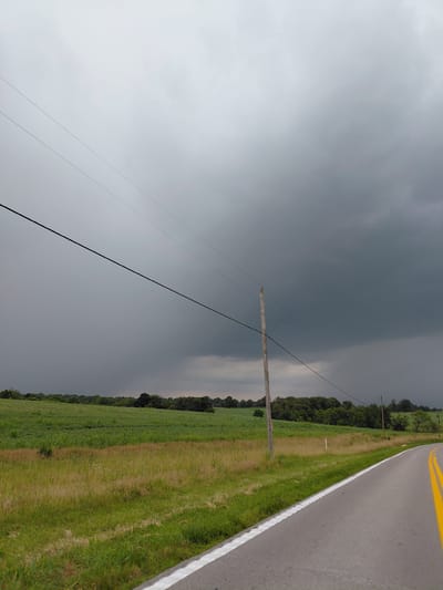 This is a landscape photograph taken from the perspective of a car driving on a road. The scene depicts a rural setting with a paved road on the right side of the frame, marked with double yellow lines and a white fog line. The road curves gently to the left. Adjacent to the road is a grassy shoulder, followed by a field of green crops and then a line of trees.

The sky is dramatic and overcast, with dark, heavy storm clouds dominating the left half of the image. The transition between the storm clouds and the brighter sky on the right is sharp, suggesting a weather front. A single wooden utility pole stands in the middle ground, with power lines stretching diagonally across the frame. The overall mood is somber due to the stormy weather.

The photograph appears to be taken during the daytime, though the heavy cloud cover obscures direct sunlight. Location cues, such as the type of crops and the presence of utility poles, are consistent with a rural setting in the United States. No people are visible in the image. The focus is on the landscape and the approaching storm.