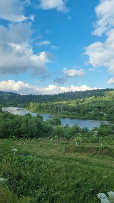 The image depicts a serene, verdant landscape with a winding river flowing through rolling hills covered in lush green trees. The sky above is a vibrant blue, dotted with fluffy white clouds. The foreground is a grassy embankment with wildflowers. The scene is tranquil and natural, with no visible human presence or structures. The image is not identifiable as being in the city of Turka, Ukraine.