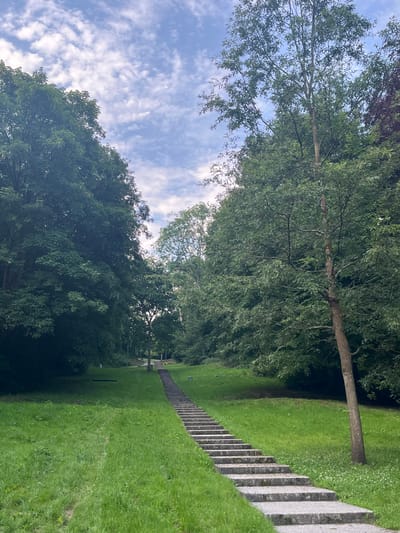 The image depicts an outdoor scene of a long, ascending concrete staircase winding through a grassy incline. The stairs are flanked by lush green grass on the left and a slender tree trunk on the right. Dense foliage from mature trees forms a verdant canopy overhead, creating a shaded environment. The sky above is partly cloudy, with patches of blue interspersed with white clouds. In the distance, at the top of the stairs, a path is visible, lined with trees and more greenery. The overall impression is one of a serene park or garden setting. The image does not contain any people or animals. The location is identified as Rouxmesnil-Bouteilles, France.