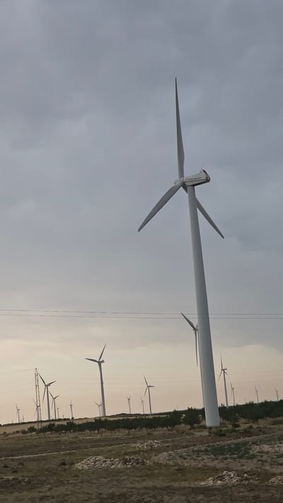 This is a landscape image of a wind farm in La Muela, Spain, with the sun low in the sky, suggesting it is either dawn or dusk. The scene is dominated by a large wind turbine in the foreground, its three blades extended against a cloudy, pale sky. The turbine is white and has the text "NEG Micon" visible on its nacelle, which is the housing for the generator and gearbox.

In the background, numerous other wind turbines stretch across the horizon, forming a characteristic wind farm silhouette. They are spaced out across a dry, rugged landscape with sparse vegetation and some rocky outcrops. A line of trees runs along the mid-ground, separating the turbines into distinct sections. Power lines are also visible, crossing the frame horizontally and connecting the turbines. The overall mood is serene and industrial, highlighting the vast scale of renewable energy infrastructure against a natural, albeit arid, environment. The lighting conditions create a soft, diffused illumination, casting a warm glow on the scene.