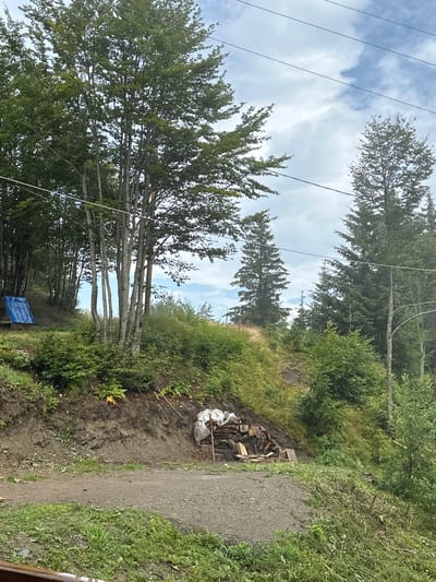 This image depicts an outdoor scene in a forested, hilly area, likely near Trešnjevik, Montenegro. A dirt path runs through the foreground, bordered by green grass. On the left side of the path, a small structure covered with a blue tarp is visible. Further up the incline, a pile of chopped wood and covered materials is stacked against a dirt embankment. The background is dominated by a dense forest with various types of trees, including tall, slender deciduous trees and darker, conical evergreen trees. Power lines are strung across the upper portion of the image, against a backdrop of a cloudy sky. The overall impression is of a rural, natural setting with evidence of human activity in the form of the shelter and stored firewood.