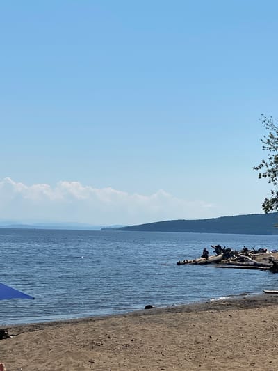 The image depicts a lakeside scene on a clear, sunny day. The sky is a vibrant blue with a few scattered white clouds. The water of the lake is calm and reflects the light, with a visible tree branch extending from the upper left corner. A sandy shore runs along the right side of the image. In the water, there is a piece of driftwood with several branches. A small blue object, possibly part of a boat or flag, is visible in the lower right corner of the water. The background shows a densely forested hillside. The overall mood is peaceful and serene, suggesting a leisurely day outdoors.