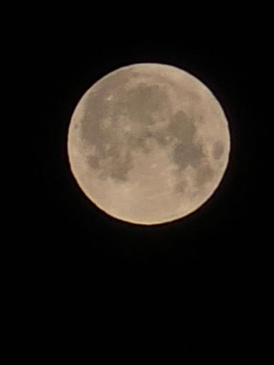 A full moon is depicted against a black, starless sky. The moon, which is the sole object in the image, is fully illuminated and exhibits visible surface features such as craters and maria. The image is a close-up, centered shot of the celestial body. There is no indication of the city of Tyrnyauz, Russia, or any other urban or natural landscape.