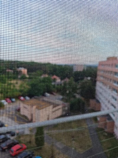 The image, taken through a window screen, shows an aerial view of a courtyard or street scene. The foreground is dominated by the grid pattern of the screen, which distorts the view of the scene beyond. The scene itself appears to be in an urban or suburban setting, possibly Mělník, Czechia, given the location context.
The background depicts a building with light-colored brickwork and visible windows. Below the building, there is a patch of green, likely grass or a small park area, with several indistinct figures that appear to be people walking or standing. Further into the scene, there are some vehicles, including a bright red object that could be a car or a bicycle. The ground surface seems to be paved with a light-colored material, possibly stone or concrete, with some darker areas that might be shadows or other objects.
The lighting suggests it might be daytime, possibly late afternoon or early evening, as there are some shadows and the light seems somewhat diffused, though it is difficult to determine the exact time of day due to the screen's interference. The weather is not discernible from the image. The overall impression is one of everyday life unfolding in an outdoor space. No text is visible in the image.