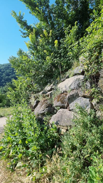 This is a photograph of a rocky embankment overgrown with lush green vegetation under a clear blue sky. The embankment is constructed from large, irregular grey stones, some of which are covered in moss. Various plants, including leafy bushes and tall grasses, grow densely around and between the rocks. In the background, a forested hill slopes downwards, and a dirt path is visible on the left side of the image. The scene suggests a natural or semi-natural setting within the municipality of Sant Joan les Fonts, Spain, likely a rural or park area characterized by its rocky terrain and abundant plant life. There are no people or animals visible in the image.