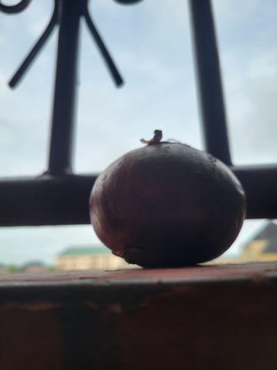 A close-up shot shows a red onion positioned between a dark-colored metal railing or fence and a red, concrete wall or pillar. The background features a blurred view of buildings and the sky, indicating an outdoor setting, likely a balcony or window. The image appears to be taken from a low angle, looking upwards towards the onion and the sky. Without additional context, it is not possible to confirm the location is in Ifite Awka, Nigeria.