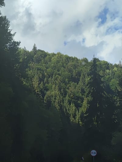 A panoramic, low-angle view captures a dense, verdant forest cascading down a mountainside, under a partly cloudy sky. The trees, predominantly evergreen, create a rich tapestry of greens, with a darker shadow dominating the left side of the frame. The sunlight filters through the clouds, illuminating patches of the forest and highlighting the textured canopy. Near the bottom right corner, a circular traffic sign with two cars facing each other, indicating overtaking prohibition, is partially visible. The scene suggests a natural, rural environment, likely in a mountainous region.