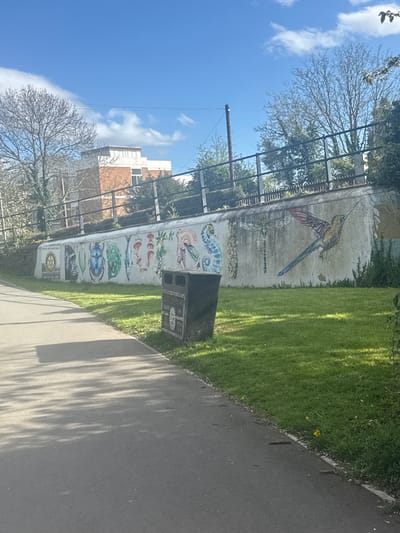 The media file displays an outdoor scene of a paved pathway running alongside a long, light-colored wall adorned with colorful artwork. The wall features a variety of painted or tiled murals depicting flora and fauna. Towards the top, a large bird resembling a macaw or parrot is visible, along with a dragonfly. Further along the wall, other creatures like a seahorse, a blue beetle, various fish, and fungi are depicted.
On the right side of the wall is a strip of vibrant green grass, which casts dappled shadows onto the pathway, indicating bright sunlight. The pathway itself is grey asphalt or concrete. Above the wall, on the left, are trees, some bare-branched, suggesting a season other than peak summer. In the background, under a clear blue sky with scattered white clouds, a tall, slender pole and buildings with orange and white facades are visible.
A dark grey, rectangular box is mounted on the wall, near the pathway. On its visible side, the text "LEAVE NO TRACE" is clearly readable. Below this box, part of a circular emblem with text is visible, including "ROTARY INTERNATIONAL" and the year "1905". Another small section of text appears to say "GIVE BACK". No people or specific activities are present in the image, which appears to be a static daytime shot in a public area, likely a park or promenade in Welshpool, United Kingdom.