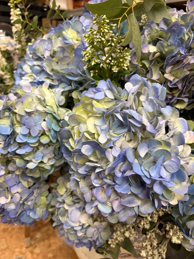 A close-up, overhead shot focuses on a bouquet of hydrangeas in shades of blue, purple, and pale green. The flowers are densely packed, with individual petals showing delicate veins and subtle color variations. Some of the hydrangea heads are topped with sprigs of small white flowers and green foliage, possibly eucalyptus. The background is blurred, hinting at an indoor setting with shelves or displays. The image was taken in La Cala, Spain, and is presented without any disclaimers.