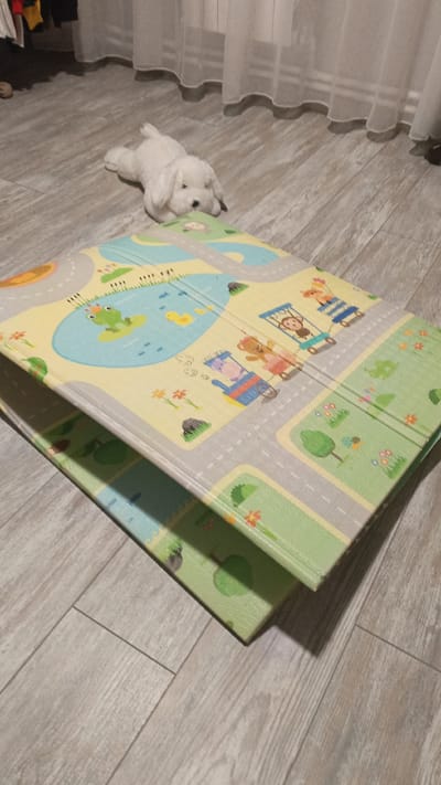 A white, plush dog toy is lying on its stomach on a wooden floor, its head resting near a folded play mat. The play mat is colorful, depicting a cartoon scene with roads, animals, and a pond. The bottom portion of the mat, which is also visible, is green with cartoon trees. In the background, sheer white curtains hang in front of a window, partially obscuring the view outside. The scene appears to be indoors, possibly in a home environment in the city of Aksinyino, Russia.