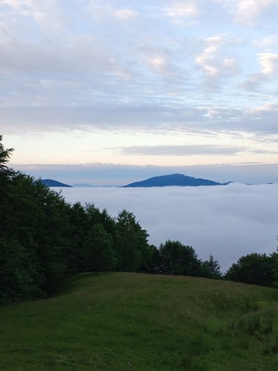 This image depicts a serene mountain landscape near Rakhiv, Ukraine, characterized by a sea of fog blanketing the valley. In the foreground, a lush green meadow slopes gently downwards, bordered by a dense line of dark green evergreen trees on the left and right. These trees rise to form a thick canopy, obscuring much of the underlying terrain.
Beyond the treeline, the valley is filled with a thick, uniform layer of white fog, creating the illusion of a vast, white ocean. Emerging from this fog are the dark, silhouetted peaks of distant mountains. These mountains appear as distinct, rounded shapes against the hazy horizon. One prominent peak is centrally located, with smaller, less defined peaks visible to its left and right, all softened by the atmospheric conditions.
The sky above is a pale blue, gradually transitioning to lighter hues near the horizon. wispy, scattered clouds are present, tinged with pale pink and gray, suggesting either early morning or late evening light. The overall atmosphere is tranquil and atmospheric, with a sense of vastness and natural beauty. There are no people, animals, or man-made structures visible in the frame. The scene is captured from an elevated perspective, looking down into the valley and across to the distant mountains.