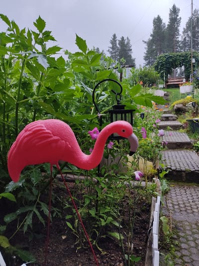 A bright pink plastic flamingo lawn ornament stands in the foreground of a garden. The flamingo is positioned to the left of the frame, facing right, with its head curved downwards and its beak pointed towards the ground. Behind the flamingo, a path made of grey interlocking pavers winds its way up a gentle slope. To the right of the path, a stone wall is visible, with plants and flowers growing alongside it. In the background, a wooden bench sits under a green ivy-covered archway. Tall evergreen trees form a backdrop against a hazy, overcast sky. The garden appears to be located in the village of Таватуй, Russia.
