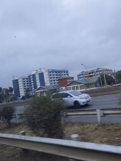 The photo shows a cloudy day with a view of buildings, a road, and a moving car. Two prominent buildings with "NISS" signs are visible. There's a highway with a silver car in motion. A metal guardrail is in the foreground, along with some shrubbery. The overall scene looks to be taken from inside a vehicle.