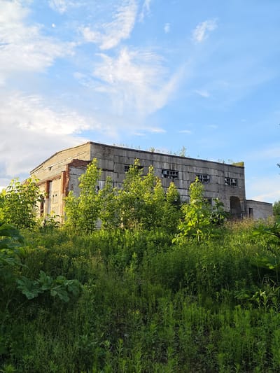 The image depicts a dilapidated industrial building partially obscured by dense, overgrown vegetation. The building appears to be constructed from concrete and brick, with broken windows and signs of structural decay. The sky is a bright blue with scattered white clouds. The foreground is filled with tall green grass and various plants, suggesting a natural environment reclaiming the abandoned structure. There are no people or discernible actions taking place. The scene evokes a sense of abandonment and the passage of time, with nature gradually overtaking man-made structures.