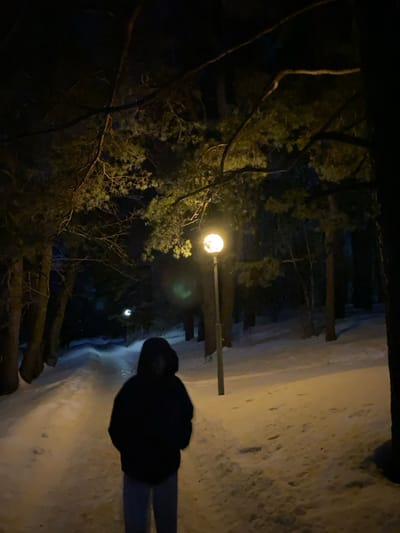 The scene depicts a solitary individual at night on a snow-covered path in a wooded area within Нарацкі сельскі Савет, Belarus. The ground is uniformly covered in snow, indicating a winter setting. A single person, dressed in a dark hooded jacket and light-colored trousers, stands in the foreground with their back mostly to the camera, facing down the path. Their face is obscured by the hood and shadow. The path is illuminated by two streetlights with spherical, yellow-orange luminaires; one is prominently featured in the mid-ground to the right, and another is visible further down the path. Pine trees with dark trunks and branches line both sides of the path, their needles visible under the artificial light against the dark night sky. No interactions are occurring, and the individual appears stationary.