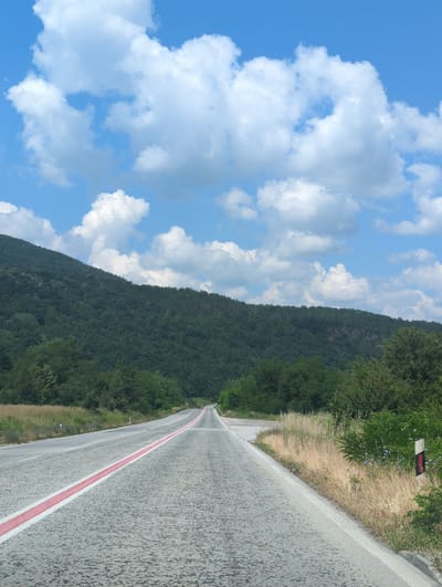 The image captures a scenic view of a winding road cutting through a lush green mountainside under a bright blue sky dotted with fluffy white clouds. The road is asphalt and features a distinct red line painted down its center, suggesting a rural or scenic route. To the right of the road, dry, golden grass and sparse vegetation line the embankment, punctuated by a few small purple flowers. A traffic sign, red and white, is visible on a pole amidst the greenery. The dense, dark green foliage of the mountainside contrasts with the bright sky, creating a sense of depth and natural beauty. The perspective is from a high vantage point, looking down and along the road as it recedes into the distance. The lighting suggests it is daytime, likely a sunny day. There are no people or specific events depicted, focusing instead on the natural landscape and the man-made road that traverses it. The image conveys a peaceful and serene atmosphere, characteristic of a drive through the countryside. The location context is Dechkovtsi, Bulgaria.