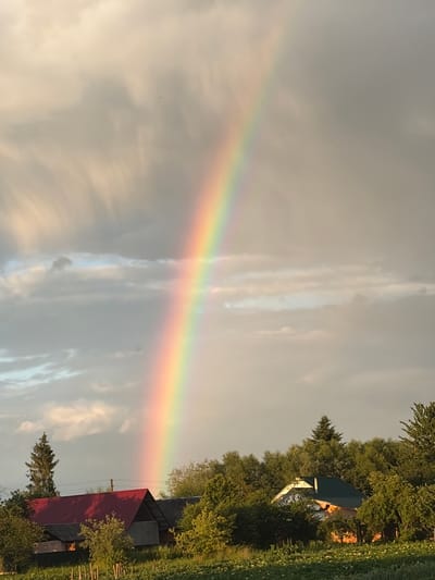 The image depicts a rural landscape in Hanniv, Ukraine, under a sky filled with dramatic clouds and a vibrant rainbow. In the foreground, lush green vegetation, possibly a field with some flowering plants, stretches across the bottom of the frame. Several wooden stakes are visible in the grass.
Behind the vegetation, a cluster of houses with red and dark roofs are nestled amongst dense green trees. One house on the left has a prominent red roof. To the right, another house with a dark green roof is partially obscured by trees, with sunlight illuminating its brick facade. A tall evergreen tree stands to the left of this house, and other trees are scattered throughout the scene.
The sky is a dominant feature, with a large, bright rainbow arcing upwards and to the left, a spectrum of colors vividly displayed against the overcast, grey, and beige clouds. The clouds themselves show some texture and streaks, suggesting wind or atmospheric conditions. The overall lighting suggests either early morning or late afternoon. There are no people or animals visible in the image.