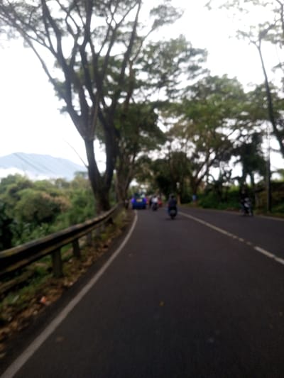 The image depicts an outdoor scene on a paved road in Sat Thay (East), Myanmar, under overcast conditions. The perspective is from the center of a two-lane asphalt road, looking forward as it curves gently to the right. A solid white line delineates the left edge of the road, alongside which a black and yellow/silver guardrail runs. Beyond the guardrail, dense green foliage indicates a drop-off or heavily vegetated terrain. In the far background on the left, a large, hazy mountain range is visible under a bright, diffused sky.
Along the road, several vehicles are observed moving away from the viewer. In the mid-ground on the left lane, a blue passenger car is prominent, followed by multiple indistinct motorcycles or scooters. Further down the right lane, another individual on a motorcycle or scooter is visible. Both sides of the road are lined with tall trees featuring dense green canopies, creating an arboreal tunnel effect in parts. The overall environment suggests a semi-rural or mountainous road.