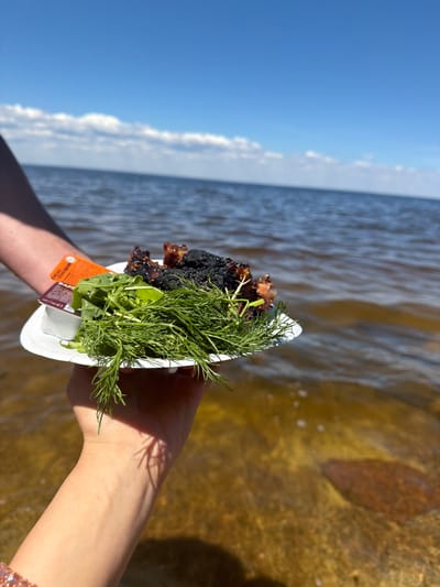 A close-up shot shows a white paper plate held by a person's hands, with a meal of grilled meat, greens, and dill. The plate is positioned over the shallow, clear water of the Kyiv Reservoir near Vyshhorod, Ukraine. The water's bottom is visible, with rocks and sand. The sky is blue with scattered white clouds. The person is wearing a bracelet.