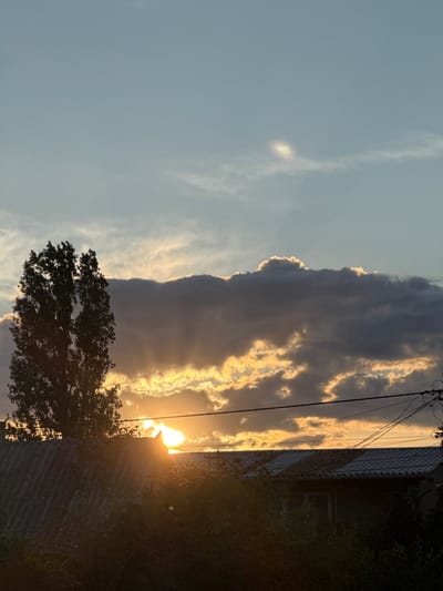 A tall, slender tree with dark foliage stands silhouetted against a vibrant sunset sky. The sun, a bright orb partially obscured by clouds, casts a warm golden glow through them, creating shafts of light. In the foreground, the roof of a building, possibly in Zatoka, Ukraine, is visible, with trees and vegetation obscuring the lower part of the image. Power lines stretch across the sky, adding a man-made element to the natural beauty of the sunset. A faint, iridescent cloud formation, known as a cloud iridescence, is visible in the upper right portion of the sky.