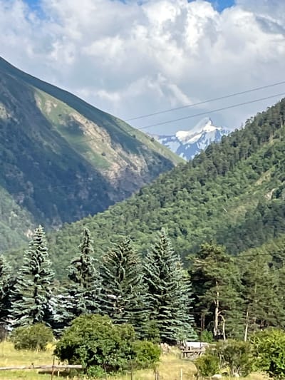 The image depicts a mountainous landscape, likely in Tegenekli, Russia. In the foreground, a cluster of evergreen trees stands tall, with some appearing to be pine or fir trees. Behind them, dense green foliage covers the lower slopes of a mountain. Further in the background, a snow-capped mountain peak is visible against a partly cloudy sky. Power lines stretch across the frame, indicating human infrastructure in the area. The lower part of the image shows a grassy field with a rustic wooden fence. The scene is natural and serene, with a focus on the grandeur of the mountains and the lush greenery.