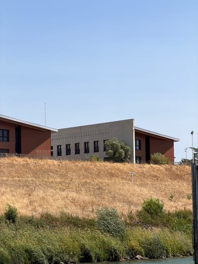 A low-angle, eye-level, full shot captures two modern buildings situated on a dry, grassy hillside under a clear blue sky. The building on the left is characterized by its slanted, dark-colored roof and reddish-brown wooden siding. It features several dark-framed windows. To its right, a lighter-colored building presents a flat, gray facade with a series of repeating rectangular indentations above rows of dark windows. This building also has a slanted roof, which extends over a section clad in the same reddish-brown material as the first building. A small, leafy green tree grows near the junction of the two structures. The hillside is covered in dry, golden grass and some scattered green shrubs. At the bottom of the image, lush green vegetation lines the edge of a body of water. A security camera is visible on the hillside, and a tall antenna stands near the left building. The scene is located in Bourg-lès-Valence, France, likely near the Rhone river.