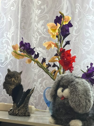 An indoor, eye-level shot captures a still life arrangement on a shelf, featuring decorative items and flowers against a white, patterned curtain. On the left, a bronze-colored owl figurine, perched on a dark, textured base, is positioned next to two white electrical outlets with plugs. To the right, a plush toy animal, with gray fur, white paws, a black nose, and a red tongue sticking out, sits in front of a bouquet of gladiolus flowers. The flowers display a variety of colors, including yellow, peach, red, and purple, with some appearing to be wilting. The overall scene is brightly lit, likely by natural light filtering through the curtain. The location is identified as Rodnikovskaya, Russia.