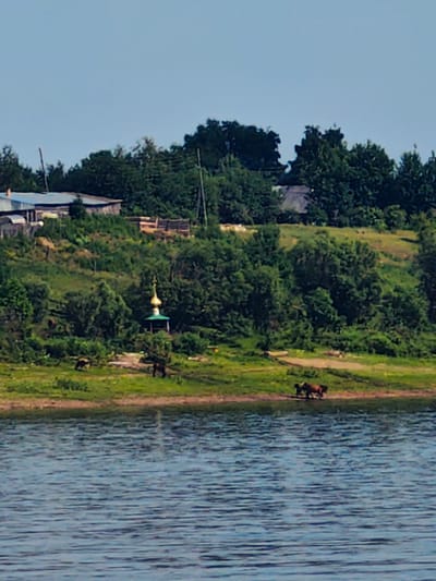 The image depicts a rural scene on the bank of a body of water, likely a river, with a verdant hillside dotted with trees and structures. In the foreground, the rippling blue water dominates the lower portion of the frame.
The middle ground features a grassy embankment leading up to a hillside. Several horses are visible grazing or standing on this embankment. A small, ornate structure resembling a chapel or a shrine with a golden dome stands prominently on the hillside, surrounded by trees. Further up the hill, there are several buildings, including what appears to be a long, low structure with a corrugated metal roof and other wooden structures. The hillside is densely covered with a variety of green trees and bushes.
The sky above is a clear, pale blue, with no clouds visible. The overall impression is one of a peaceful, natural setting with human habitation integrated into the landscape. The image is likely taken from a boat on the water, looking towards the shore. The location is identified as Erkalovo, Russia.