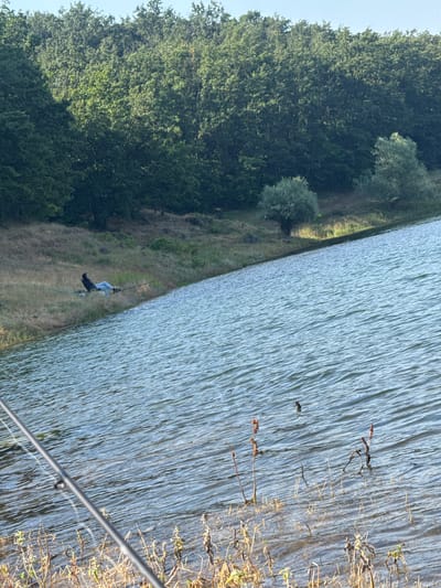 The image shows a serene lake scene in Debelets, Bulgaria. In the foreground, a fishing rod rests on the shore, its tip angled towards the water. The lake's surface is rippled, reflecting the clear blue sky. On the bank, a person sits in a chair, fishing with another rod, their attention focused on the water. Behind them, a dense forest covers the hillside, with scattered trees on the grassy slope leading down to the lake. The overall atmosphere is peaceful and tranquil.