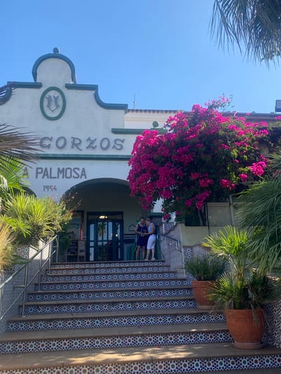 The image depicts the exterior of a building with prominent signage. Above an arched entrance, the word "GORZOS" is visible in large, dark letters, followed by "A PALMOSA" and the year "1954." The building's facade is white with dark green trim. To the right of the entrance, a large bush with vibrant pink flowers, likely bougainvillea, is in full bloom. A set of wide, outdoor stairs leads up to the entrance. The stairs are decorated with colorful mosaic tiles, featuring geometric patterns in blue, white, green, and red. A metal handrail runs along the left side of the stairs.
At the top of the stairs, near the entrance, three individuals are present. Two women are standing together, facing the building, with one woman speaking to the other. A third person, also appearing to be a woman, stands slightly apart to the right. Greenery, including palm fronds and potted plants, surrounds the entrance and stairs, suggesting a warm climate. The sky above is clear and blue. The overall scene suggests the entrance to a commercial establishment or a historic building in a sunny location, possibly Pol. Ind. La Palmosa, Spain, given the signage.