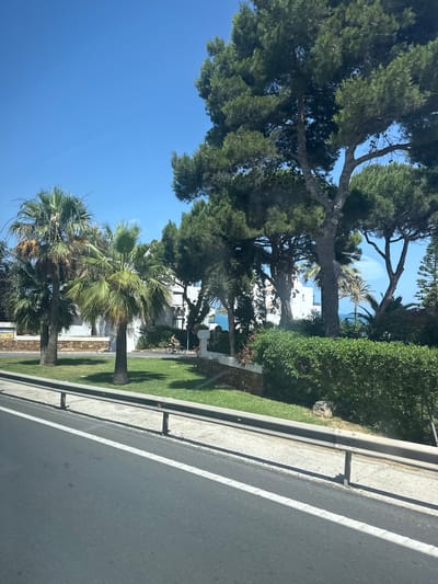 This image depicts a view from a vehicle traveling on a road in Mijas, Spain, on a clear, sunny day. The foreground shows the asphalt road with white lane markings and a metal guardrail. Beyond the guardrail is a strip of grass and a low stone wall. Behind this, a residential area is visible, characterized by white buildings with balconies, interspersed with lush green vegetation, including palm trees and tall pine trees. In the middle ground, a person is seen riding a bicycle on a path. Further in the distance, the blue sea is visible under a bright blue sky. The overall scene conveys a sense of a warm, coastal environment in a Spanish town.