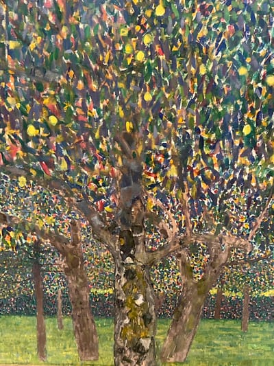 This image is a vibrant, vertically oriented oil painting depicting a dense orchard of fruit trees, likely lemon trees, rendered in a Post-Impressionistic style with distinct, varied brushstrokes. The artwork is located in Cambridge, United States.
In the foreground, three prominent tree trunks rise from a strip of bright green grass. The central trunk is rugged and textured, displaying shades of light brown, grey, and patches of mossy green. Two additional, darker, and more slender tree trunks are positioned to its left and right, partially obscured by the foliage. Above the trunks, a dense canopy of leaves fills the majority of the frame, created using a mosaic of greens, blues, yellows, and hints of red and orange, imparting a shimmering, dappled light effect. Numerous small, bright yellow, ovoid fruits are interspersed throughout the vibrant foliage. In the midground and background, additional trees with similar dense, fruit-laden canopies extend the orchard scene, appearing as darker, less defined forms. The overall lighting suggests a bright, sunny day. No people, actions, or interactions are depicted within the scene; the focus is solely on the natural environment of the fruit grove.