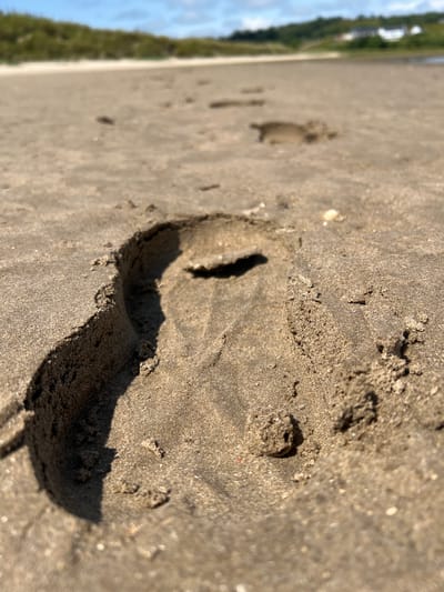 The media file is a close-up, angled shot of wet sand on a beach. The primary subject is a footprint pressed into the sand, showing the indentation and the surrounding granular texture. The lighting suggests it is daytime, with a bright sun casting shadows. The background is out of focus, showing a blurry expanse of sand leading to a green, vegetated area that could be dunes or coastal foliage, and then a bright blue sky with some clouds. This indicates an outdoor setting, likely a beach with vegetation nearby. There are other, less defined footprints further in the distance. The overall mood is serene and natural, capturing a moment of a person having walked on the beach. The location context of Tullycullion, Ireland, suggests a coastal environment, which aligns with the visual cues of sand and the sea. No text is visible in the image.