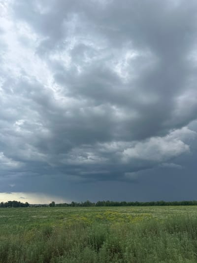 The image depicts a stormy sky over a rural landscape. The sky is filled with dark, ominous clouds, suggesting an impending rainstorm. To the right of the frame, a vast field of green grass stretches out, bordered by a line of trees in the distance. The overall mood is dramatic and somewhat foreboding, due to the heavy cloud cover and the approaching storm. The lighting suggests it is either late afternoon or early evening, as the sky transitions into darker shades. There are no visible people or objects in the scene. The location is identified as Заречный ауылдық округі, Kazakhstan, a rural area characterized by open fields and natural vegetation.