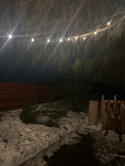 An outdoor scene at night in Lesnoy, Russia, features a snow-covered landscape under a dark sky, illuminated by a string of warm white globe lights strung through bare tree branches overhead. The ground is largely covered by a thick layer of snow, with a clear dirt path visible in the immediate foreground. To the left, a reddish-brown wooden horizontal plank fence extends into the distance. Several small, green coniferous trees are planted in the snow along the fence line. On the right side, a partial vertical wooden fence structure is visible, with a single light-colored wooden board leaning vertically against it. Two small, metallic cylindrical objects, possibly cans or bottles, rest on top of this vertical wooden structure. No people are present.
