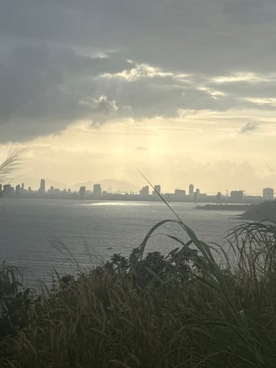 The image displays a panoramic landscape captured from an elevated position in Sơn Trà Ward, Vietnam. The scene is dominated by a largely overcast sky, featuring dense grey clouds in the upper portion, through which multiple shafts of sunlight penetrate towards the horizon. In the immediate foreground, a dense cluster of tall, slender grasses with feathery seed heads and some darker green foliage frames the bottom edge. The midground consists of a wide expanse of choppy water, likely the East Sea, exhibiting surface ripples and a pronounced horizontal reflection of light. Several small, dark shapes, consistent with boats, are visible on the water. The background is defined by the silhouette of a sprawling city skyline, characterized by numerous high-rise buildings of varying heights and designs. Distant mountains are faintly discernible behind the urban structures, and a large bridge is evident on the far right of the cityscape. No human subjects or specific actions are depicted.
