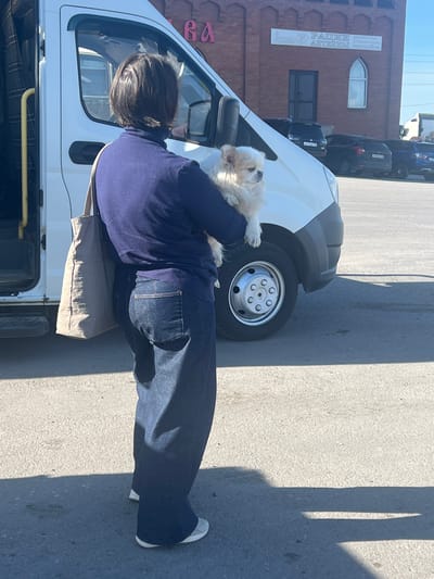 A person wearing a blue sweater and dark blue jeans is sitting beside a white van, holding a small white dog. The location appears to be outdoors in Verkh-Sosnova, Russia, based on the Cyrillic text visible on a building in the background. The person is sitting on a beige cloth, possibly a cushion or bag, placed on the van's open side door area. The van's front tire is visible, as well as several cars parked along the side of the street. The scene is brightly lit, casting a shadow on the pavement.