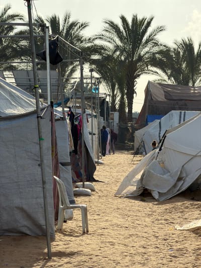 The image depicts a temporary settlement in a-Zawayda, Palestinian Territory, characterized by numerous makeshift tents constructed from tarpaulin and various fabrics. A sandy path extends centrally into the background, flanked on both sides by these shelters. On the immediate left, a white plastic chair rests on the sand next to a tent of white tarpaulin, secured by metal poles. Further down the left side, clothes are draped and hung from lines and metal frameworks between tents, some supported by visible sandbags. Several individuals are present on the path on the left side, with one wearing a blue top visible, and others partially obscured. On the right side, a tent of white material appears partially collapsed or disheveled, with a person's head visible from behind it, looking left. In the background, numerous date palm trees with green fronds rise against a bright, hazy sky. Another larger, darker brown tent is visible in the background on the right. The overall scene is illuminated by strong daylight, casting shadows.