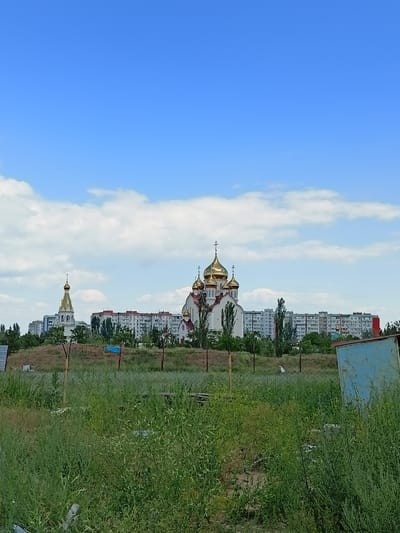 This vertical, eye-level shot captures a sunny day in Volgodonsk, Russia. The sky is a vibrant blue, dotted with fluffy white clouds. In the mid-ground, a cluster of apartment buildings forms a horizontal line, with a prominent church featuring golden domes to the left. A smaller bell tower with a golden dome stands further left, also framed by the apartment buildings. Trees are scattered throughout the scene, some taller and darker, others lighter and more spread out, creating a natural break between the buildings and the foreground.
The foreground is dominated by an overgrown area of tall green grass and some sparse brown foliage. A rusty metal fence runs horizontally across the mid-foreground. To the far right, a blue metal structure, possibly a shed or container, is partially visible. The overall impression is one of a semi-urban or semi-rural setting on a clear, warm day. The absence of people and any specific activity suggests a still, quiet moment. The bright sunshine and clear sky indicate it's likely daytime, perhaps late morning or afternoon.